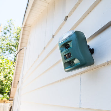 The Guardian™ mounted on a house's siding