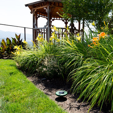 Solar Snake Repeller protecting a yard